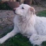 Profile Picture of Sebastan (@sebastian_piacenti_) on Instagram