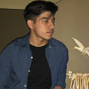 Profile Picture of Mario Caldas (@mariocaldas1018) on Youtube