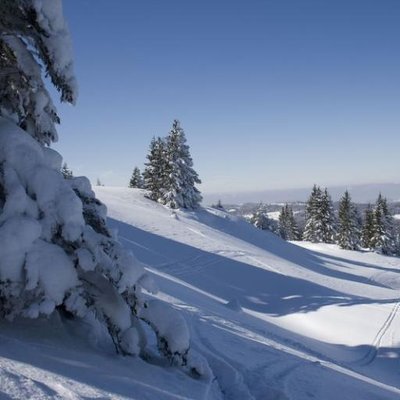 Profile Picture of Lilly Che (@lillydegre) on Twitter