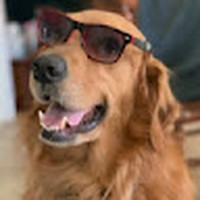 Isaiah Bowen - Quora Profile Picture of Isaiah Bowen (@isaiah-bowen-8) on Quora