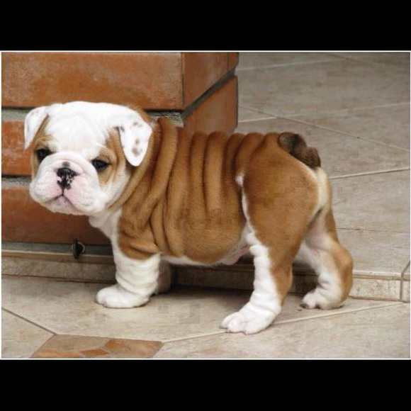 Profile Picture of Paula Lemons (@plemons) on Poshmark