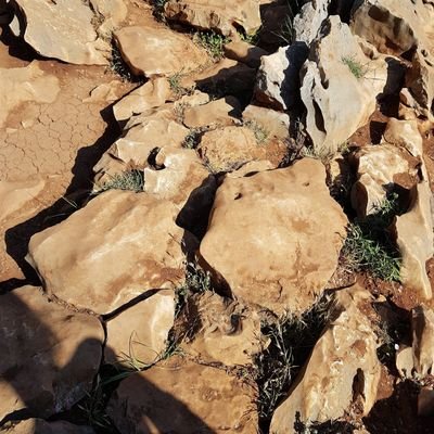 Profile Picture of MarioChiodo (@Mariochiodo2) on Twitter