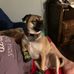 Profile Picture of Susan Bower (@susan.bower.10236) on Facebook