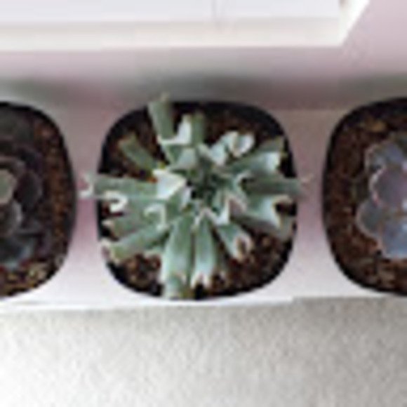 Profile Picture of Julie Jastremski (@juliejastremski) on Poshmark