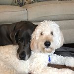 Profile Picture of Marilyn Harris (@heidi_maggie2) on Instagram