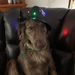 Profile Picture of Barbara Ann Roach Lee (@bl2281) on Pinterest