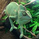 Profile Picture of Tony Kraus (@tonnykraus) on Instagram