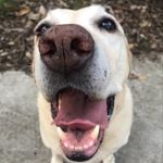 Profile Picture of Paul Driessen (@f0b5t3r) on Instagram