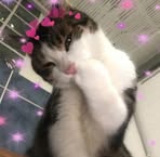 Profile Picture of Nancy Kaur (@Nancy-Kaur) on Facebook