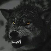 Profile Picture of SCOTT ECCLES (@scotteccles7133) on Youtube