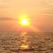 Profile Picture of Nancy Hosta (@ngh509) on Pinterest