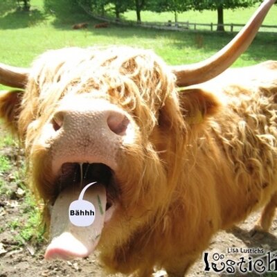 Profile Picture of Tom Handling (@Henne1967) on Twitter
