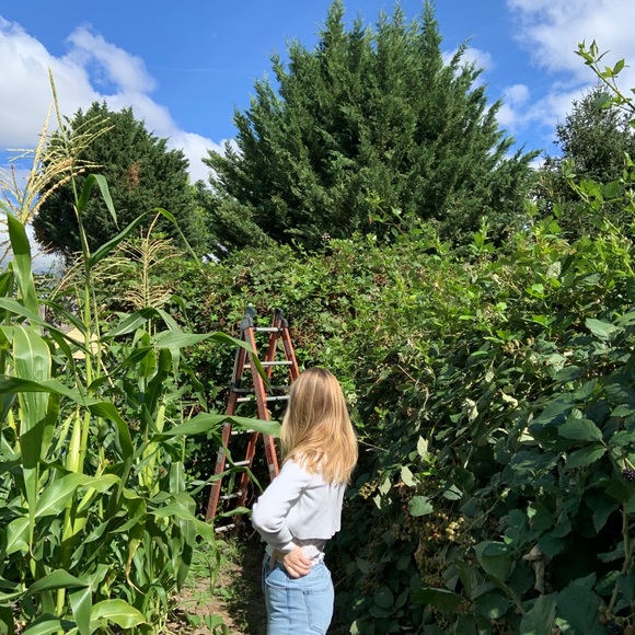 Profile Picture of Emma Plock (@emmaplockk) on Poshmark