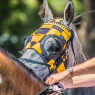 Profile Picture of Darren Parkin (@Darren_Parkin) on Twitter
