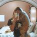 Profile Picture of Addison Keith (@keithfamilyof5) on Pinterest