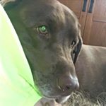 Profile Picture of nancy j pitman (@nancyjpitman) on Instagram