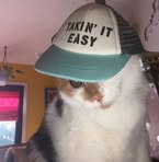 Profile Picture of Kyle Dacio (@Kyle-Dacio) on Facebook