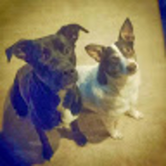 Profile Picture of Sueanne Delorey (@sueannedelorey) on Poshmark