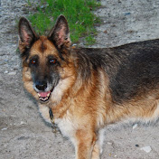 Profile Picture of Lotte Hansen (@lottehansen4905) on Youtube