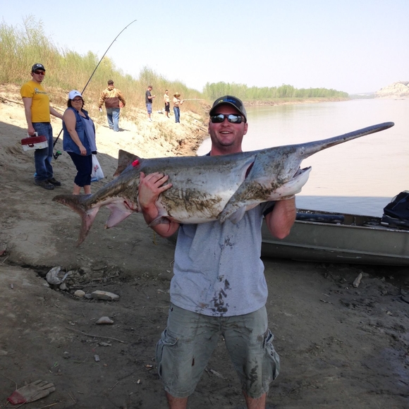 Profile Picture of Scott Weinberger (@scottweinberger) on Poshmark