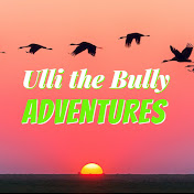 Profile Picture of Ulli The Bully ADV (@ullithebully) on Youtube