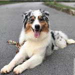 Profile Picture of Cliff Hamilton (@clifhan2) on Instagram