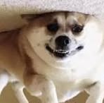 Profile Picture of Frank Griff (@frank.griff.2025) on Facebook