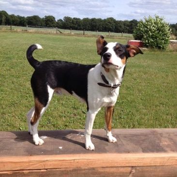 Profile Picture of Heike Schulte-Holtey (@HeikeHoltey) on Twitter