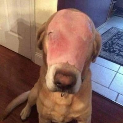 Profile Picture of Richard Yoakum (@Cigarpilot) on Twitter