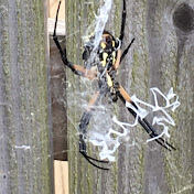 Profile Picture of John Tuttle (@jhtutt) on Youtube