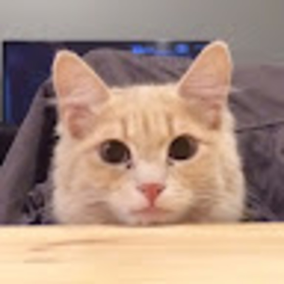 Profile Picture of Angel Zhang (@az19920211) on Poshmark