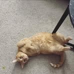 Jake Hubbell - Facebook Profile Picture of Jake Hubbell (@jake.hubbell.336) on Facebook