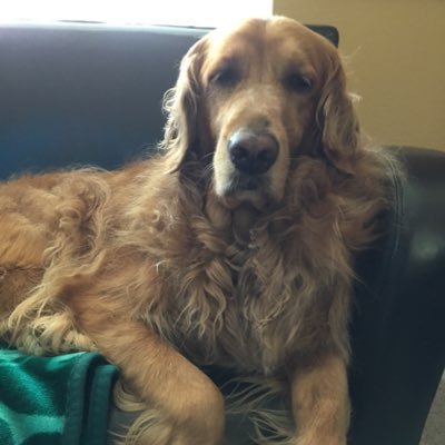 Profile Picture of Mike C. (@kalabell48) on Twitter