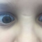 Profile Picture of sal (@salralphvitale) on Instagram