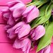 Profile Picture of Mohammadjalal gh (@khalil136856) on Pinterest