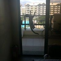 Profile Picture of Dennis Ramirez (@dennis-ramirez-18) on Quora