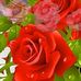 Profile Picture of Rose Read (@rose.read.9041) on Facebook