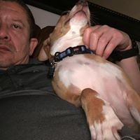 Profile Picture of Carlo Pfleider (@carlo-pfleider-1) on Quora