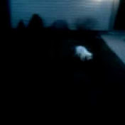 Profile Picture of Brad Friesen (@bradfrstarshot) on Youtube