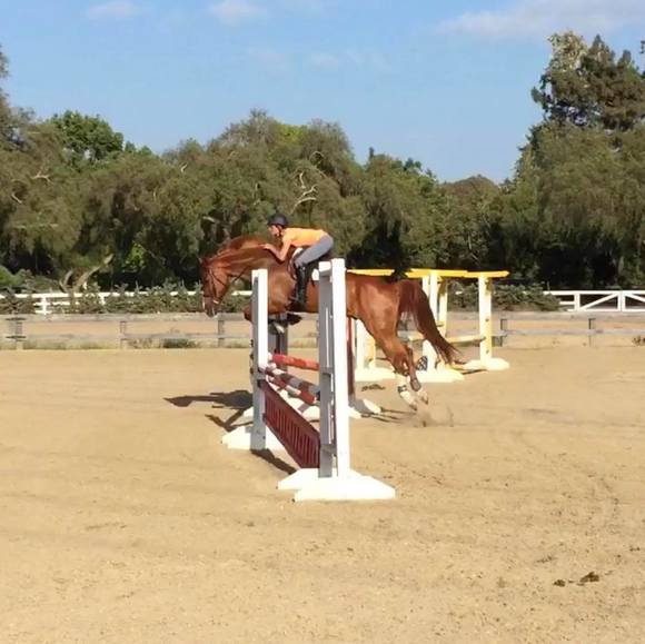 Profile Picture of Katrina Cauzza (@lianatreasures) on Poshmark