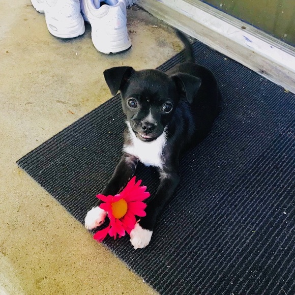 Profile Picture of Morgan Lambertus (@morganrl04) on Poshmark