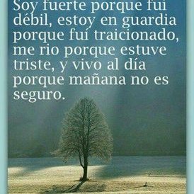 Profile Picture of Silvia Barillas (@silviabape01) on Twitter