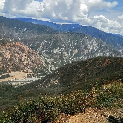 Profile Picture of Nestor Carvajal Lopez (@NestorC89134216) on Twitter
