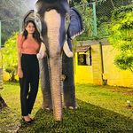 Profile Picture of Reshma Mathew (@_reshmamathew_) on Instagram