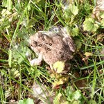 Profile Picture of Krystal Dowd (@krystaldowd) on Instagram