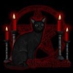 Profile Picture of Paula Monroe (@6moonwitch6) on Instagram