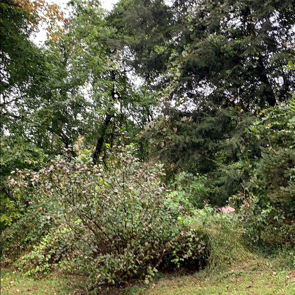 Profile Picture of Lina Rochi (@parliana) on Poshmark