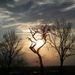 Profile Picture of Anthony Kantor (@anthonykantor) on Pinterest