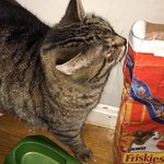 Profile Picture of Steven Newhall (@stevennewhall) on Instagram