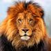 Profile Picture of Daniel Vittori (@daniel.vittori.73) on Facebook